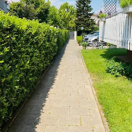 Oasi *